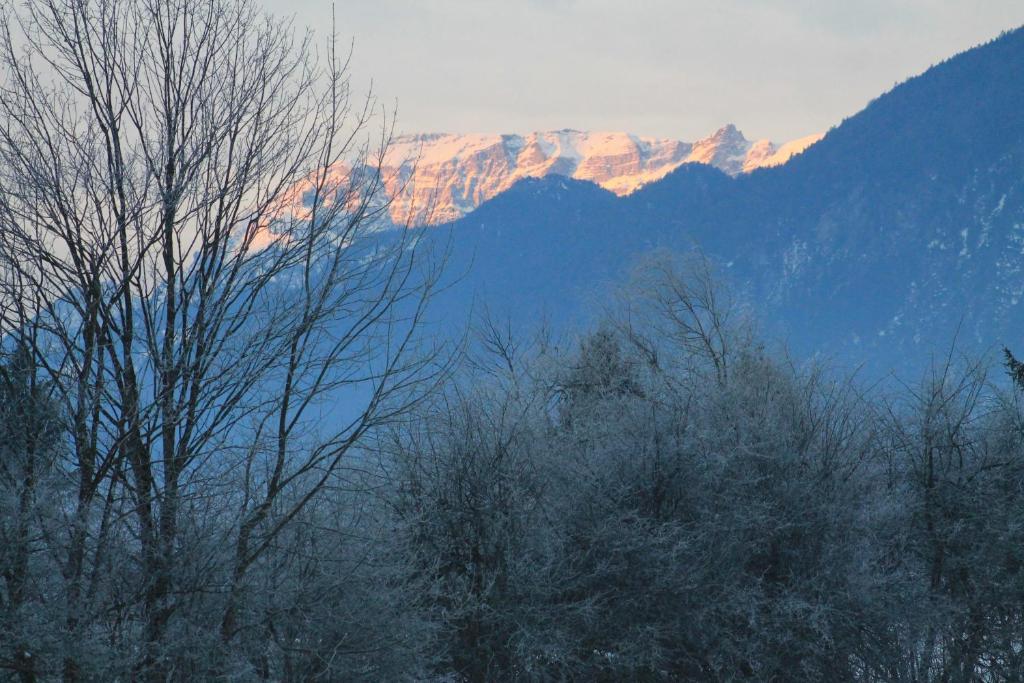 Hotel Kraftquelle Schlossblick Angerberg  Exteriér fotografie