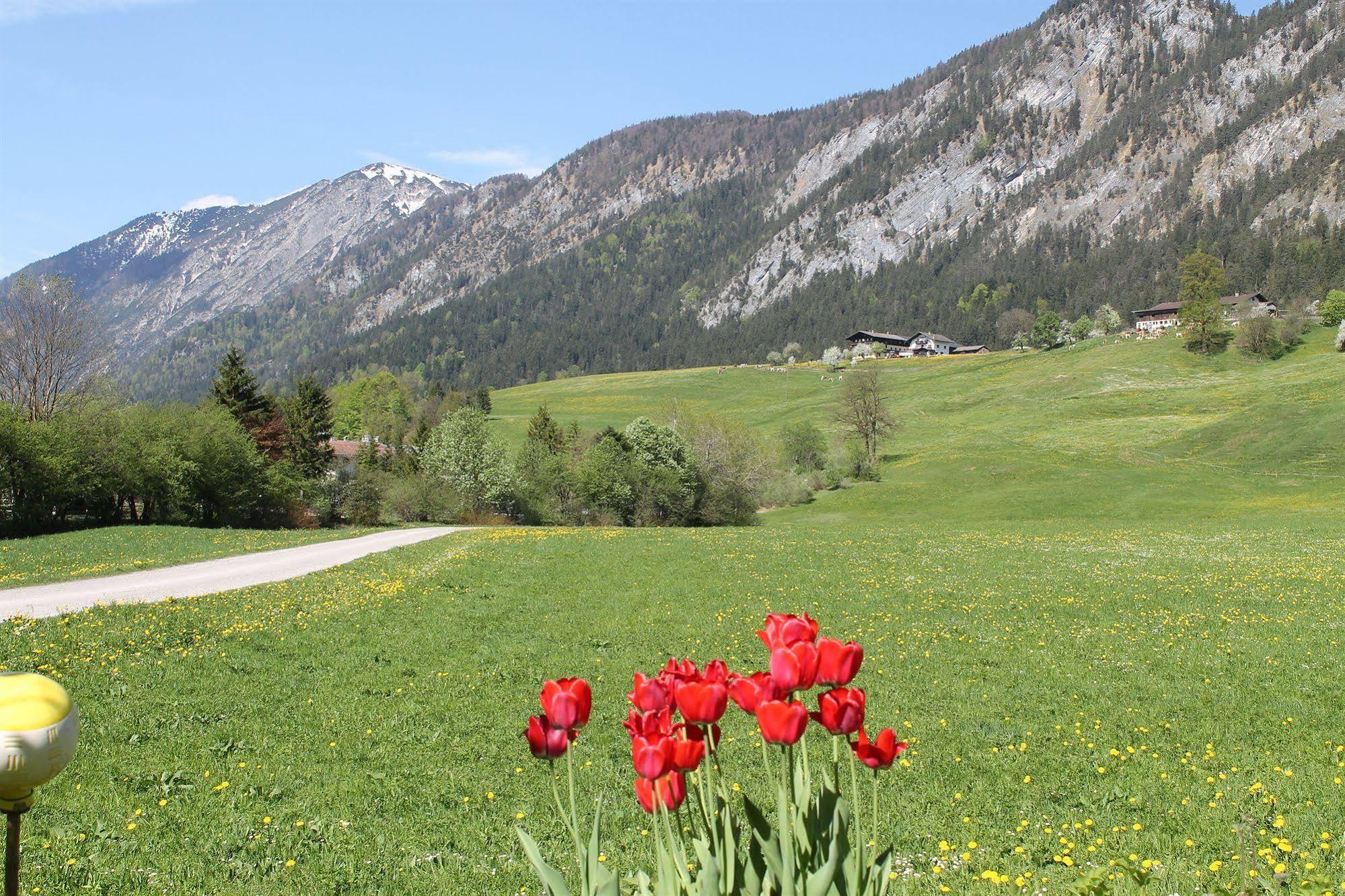 Hotel Kraftquelle Schlossblick Angerberg  Exteriér fotografie